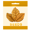 Tobacco Seeds